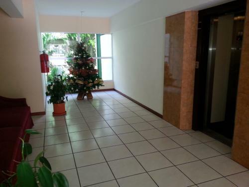Suites & Apartments San Benito - Flats