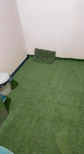 Apartamento Tr�s Beau Appartement F2