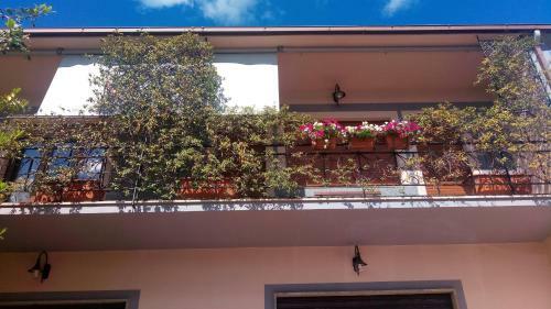 Apartamento Luxury Evergreen Terrace