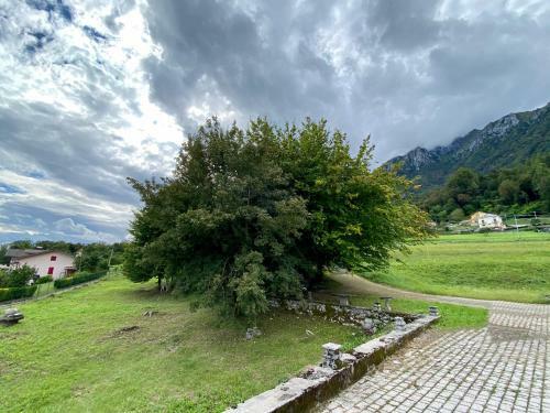 Apartamento Fioralpino Suites