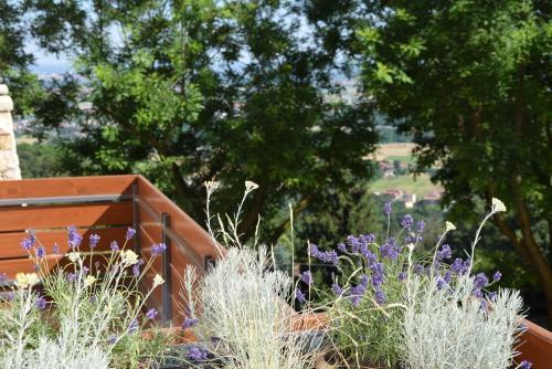Bed & Breakfast Al-colle