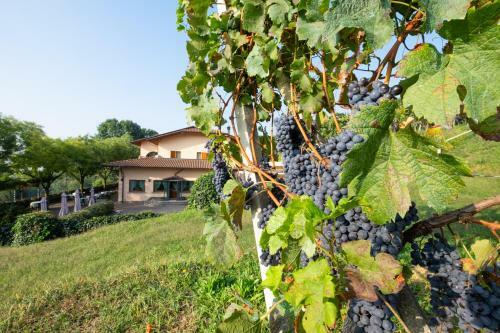 Bed & Breakfast Al-colle