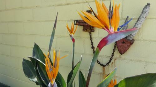 Bed & Breakfast Pension D'avignon