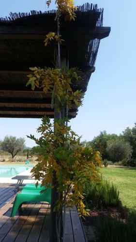 Maremma Country Chic