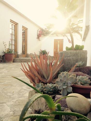 Apartamento Ocean Melody