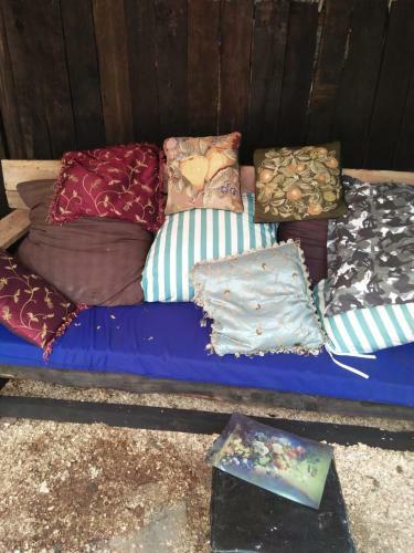 Mlima Kenya Holiday Homes