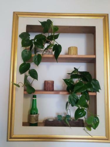 Apartamento Appartamento Palma Gold