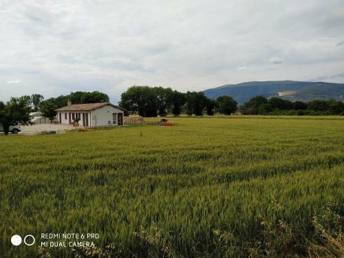 Agroturismo Agriturismo " Le Serre"