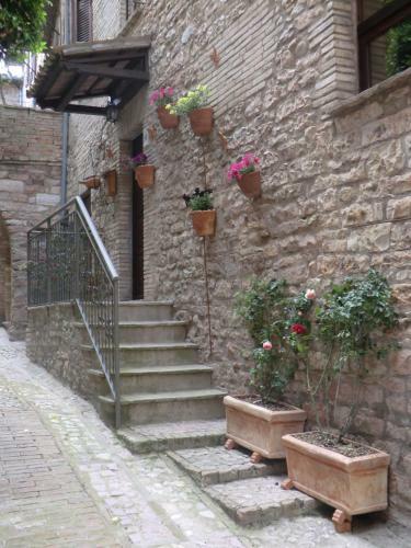Hostal La Corta Di Spello Camere