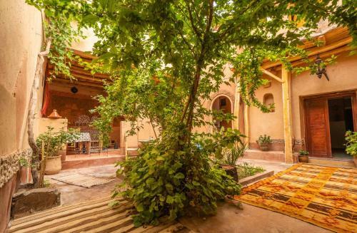 Agroturismo Dar Essalama Dades