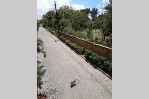 Cosy Apartment In Nyali