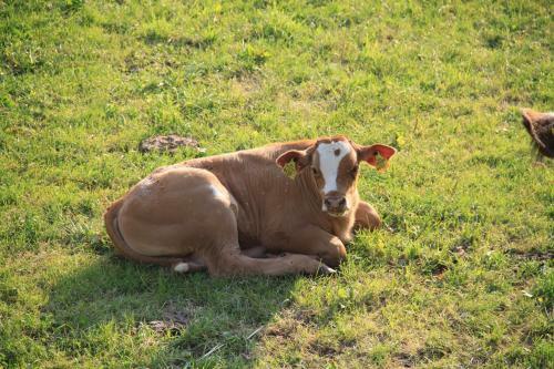 Agroturismo Bio-bauernhof Kurzeck