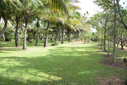 Bed & Breakfast Domaine Des Oiseaux R�union