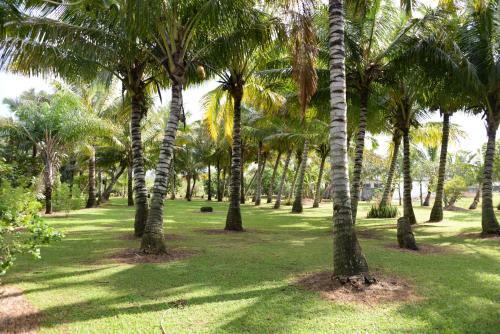 Bed & Breakfast Domaine Des Oiseaux R�union