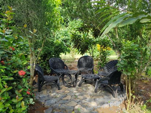 Hostal Mini-quinta Guesthouse