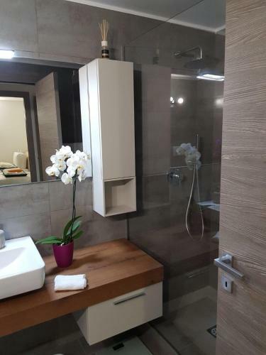 Luxury Apartments La Victoria