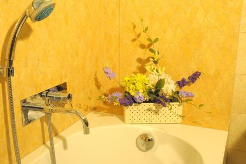 Apartamento Suite Matilde 1656