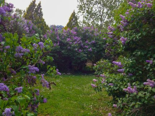 Garden Of Eden