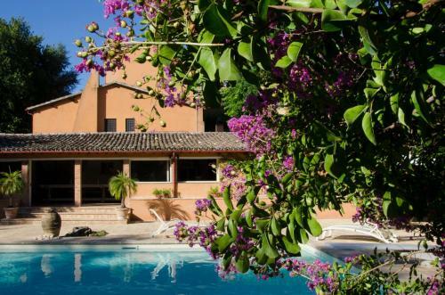 Apartamento Appartamento Il Giglio