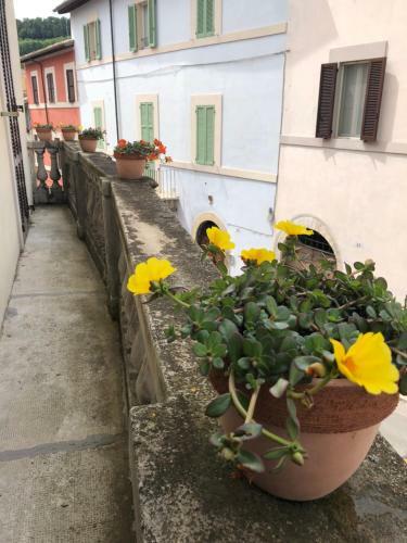 Apartamento Ztl ( Zona Tempo Libero )