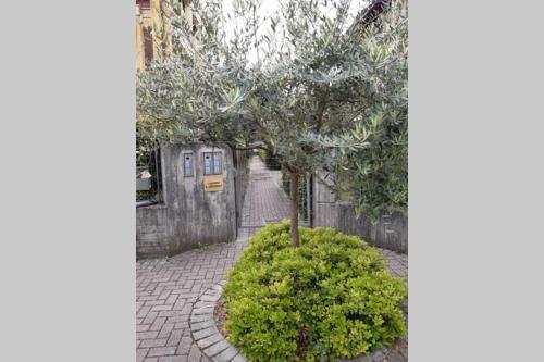 Il Torchio Rooftop Apartment With Wide Terrace