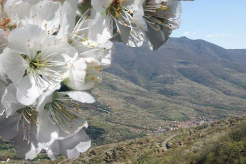 Apartamento Casas Rurales Fuente Del Aliso