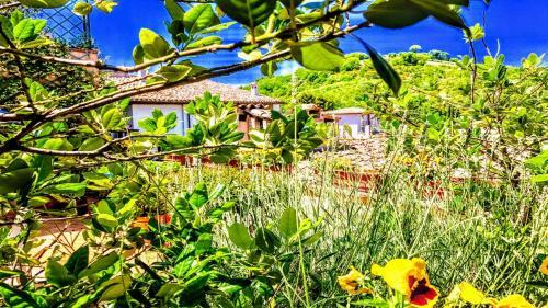 Apartamento Spoleto Bellasleeps 4spoletocar Not Necessary