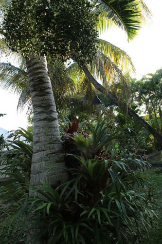 Hostal Escapade Bellepierre (l')