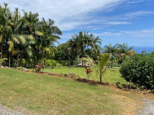 L'escapade Cr�ole Bungalow Bananier