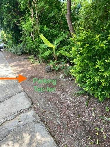 Apartamento Bungalow Tec-tec St Leu