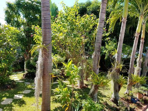 Bed & Breakfast La Maison Des H�tes
