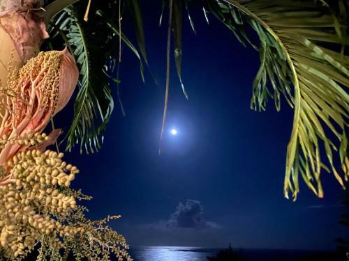 Hostal Villa Moai 974
