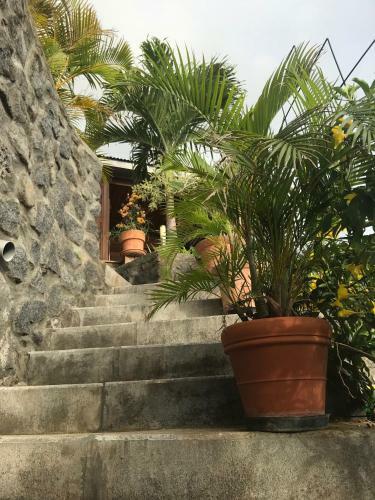 Hostal Villa Moai 974