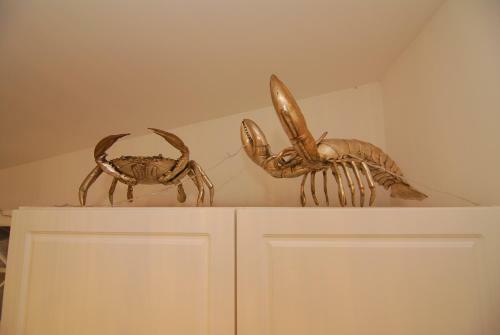 Apartamento Imaginarium