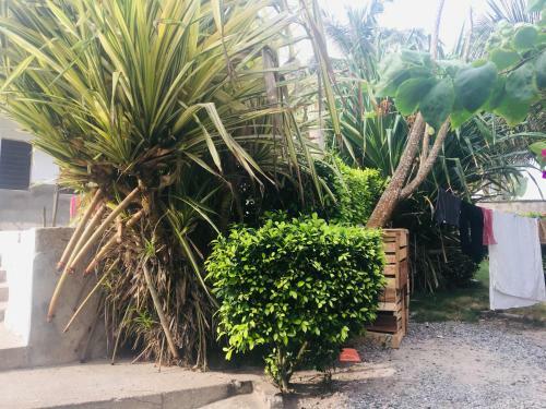 Bed & Breakfast Orakel Beach Lodge
