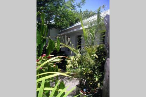 Villa Case Lontan Saint Gilles Les Bains