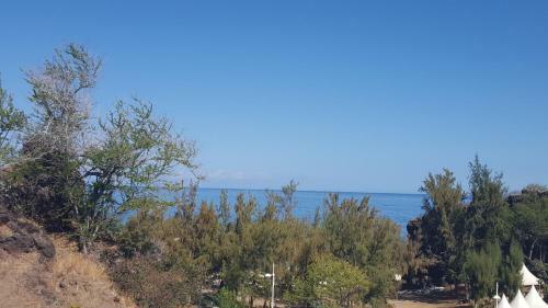 Apartamentos Ocean Appart