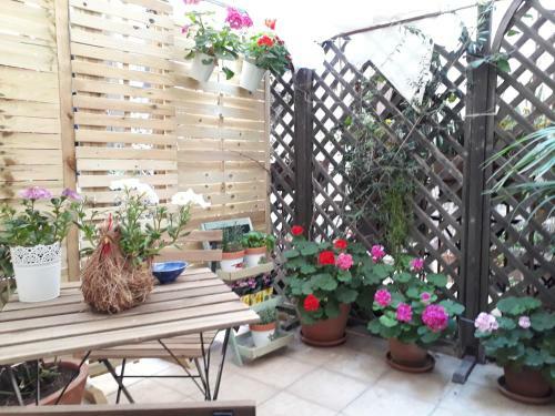 Bed & Breakfast Dream Holiday Ortigia