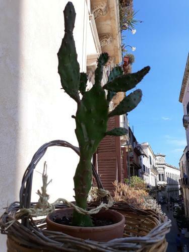 Bed & Breakfast Dream Holiday Ortigia