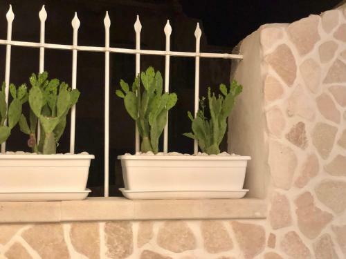 Apartamento Nesh House