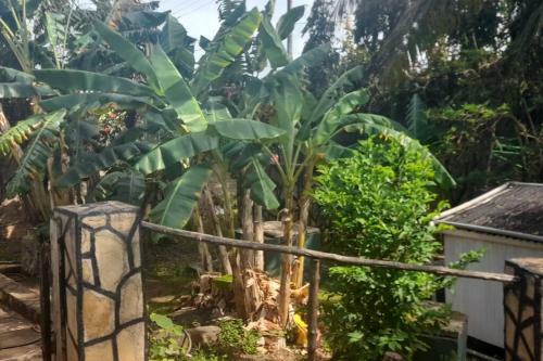 Apartamento Peters Mansion, Bougainvillea Premesis