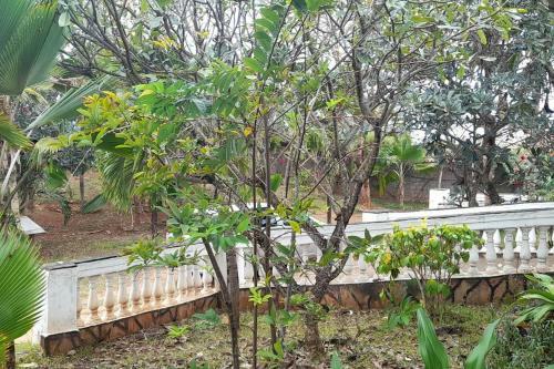 Apartamento Peters Mansion, Bougainvillea Premesis