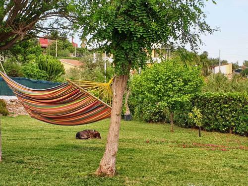 Apartamento Country Loft Siracusa