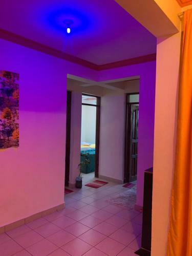 Rosy Luxurious Apartment