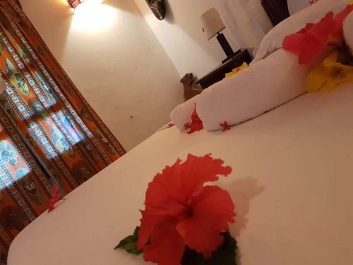 Boutique Hotel Nyumbani Tembo