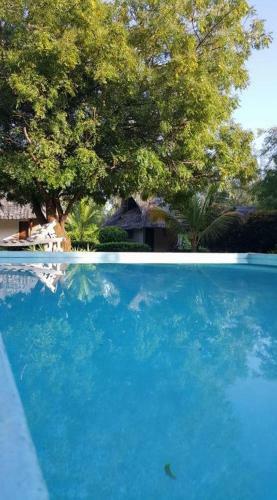 Bed & Breakfast Watamu Eco Villas