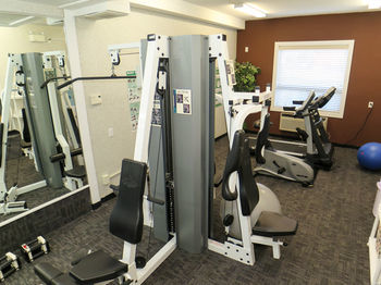 Hotel Comfort Inn & Suites Medicine Hat