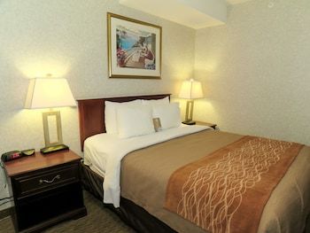 Hotel Comfort Inn & Suites Medicine Hat