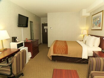 Hotel Comfort Inn & Suites Medicine Hat
