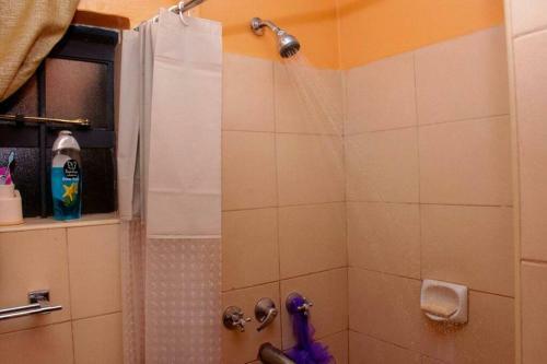 Mvuli Studio Apartment On Kipande Road
